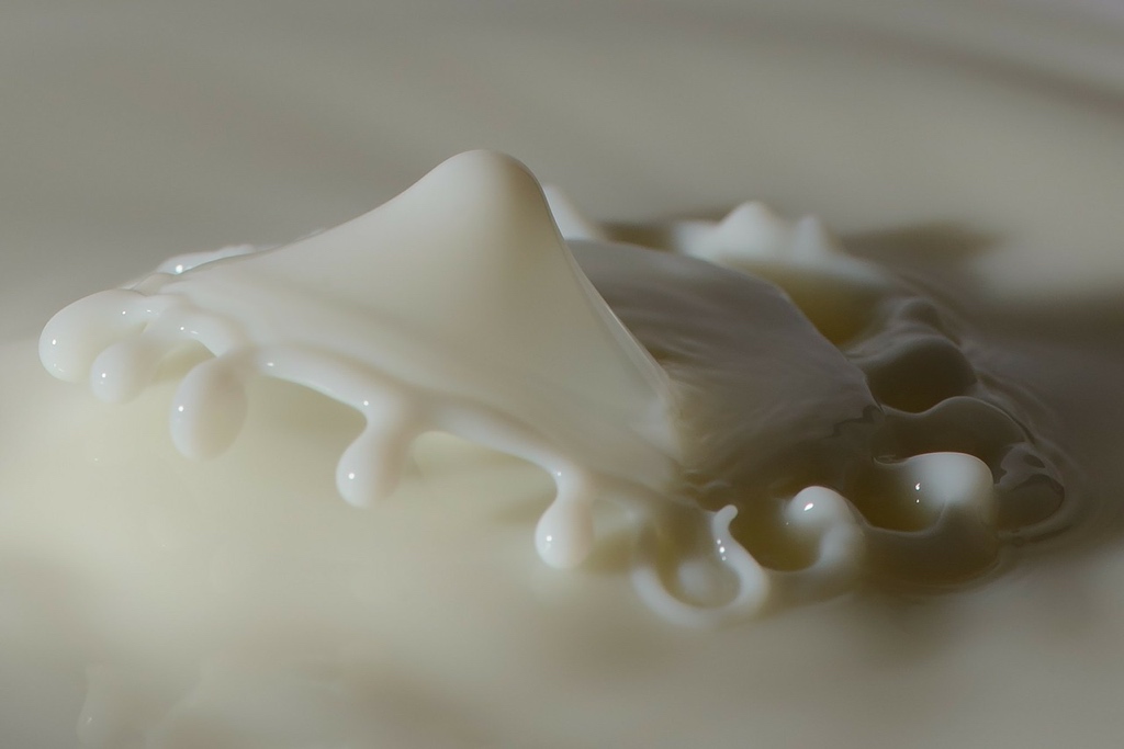 Тесты на определение качества молока