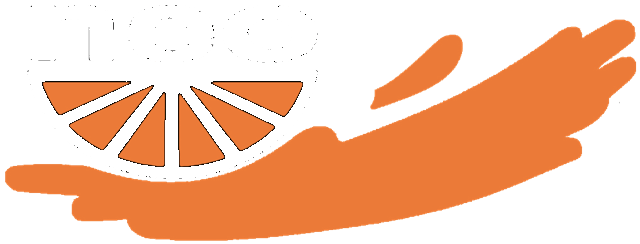 neo_logo_white